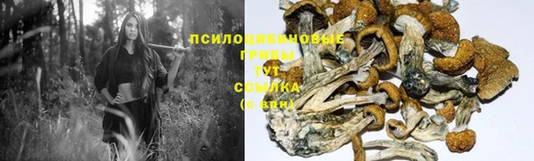 героин Каменногорск