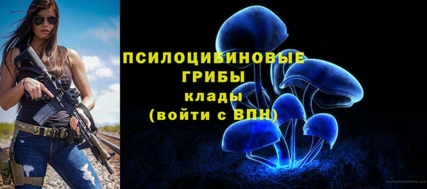 синтетический гашиш Каменка