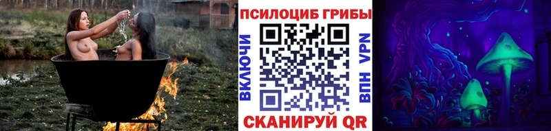 Псилоцибиновые грибы GOLDEN TEACHER Купить Белоусово