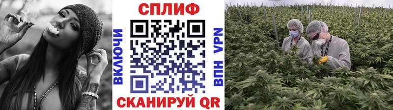 Купить  Белоусово  Бошки Шишки тримм 